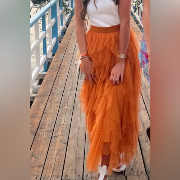 The Cheri Ruffled Tulle Skirt by Anthropologie - Picture 3 of 3